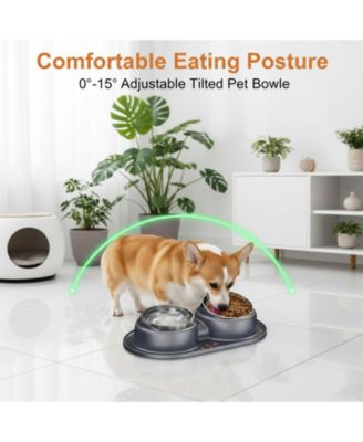 Elevated Stainless Steel Tilted Anti Vomiting Non Spill Cat And Dog Bowls with Mat