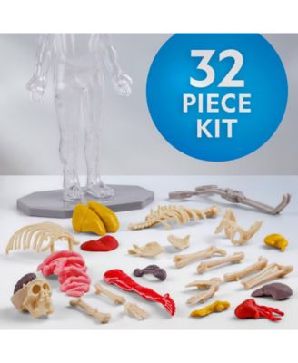 Glow-In-The-Dark Human Body