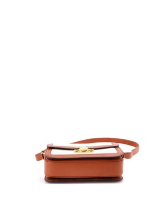 Medium Triomphe Shoulder Bag Canvas with Leather