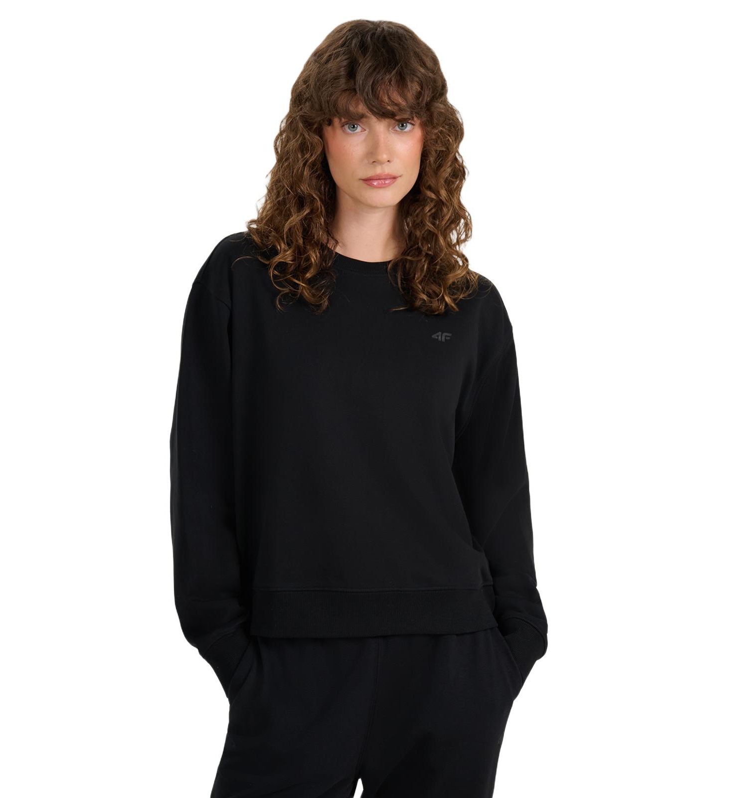 Women's Pullover Basic Sweatshirt Without Hood