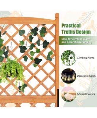 60 Inch Tall Raised Garden Bed with Diamond Trellis