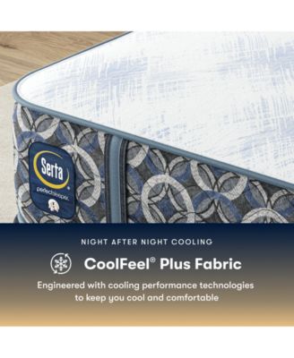 Perfect Sleeper Cascade Bluff 14.5" Plush Hybrid Tight Top Mattress Set, Queen