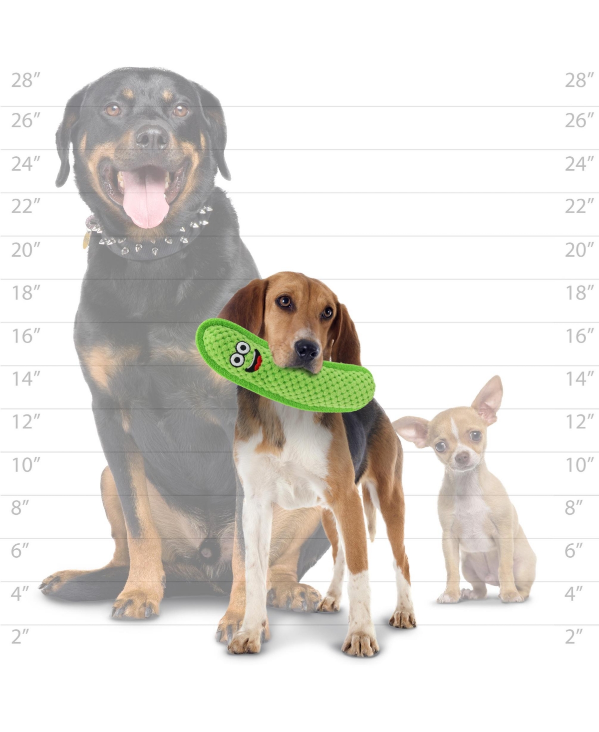 Tuffy Funny Food Celery