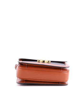 Medium Triomphe Shoulder Bag Triomphe Coated Canvas