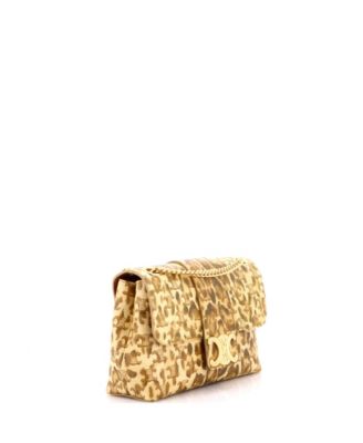 Medium Victoire Flap Shoulder Bag Printed Triomphe Coated Canvas