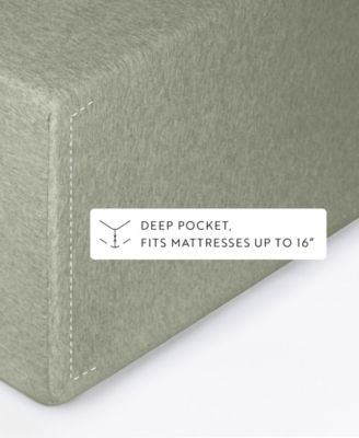 Jersey Cotton 4-P.c. Sheet Set, Queen