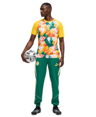 Men's  Regular and Big & Tall Senegal National Teams Short-Sleeve Jersey