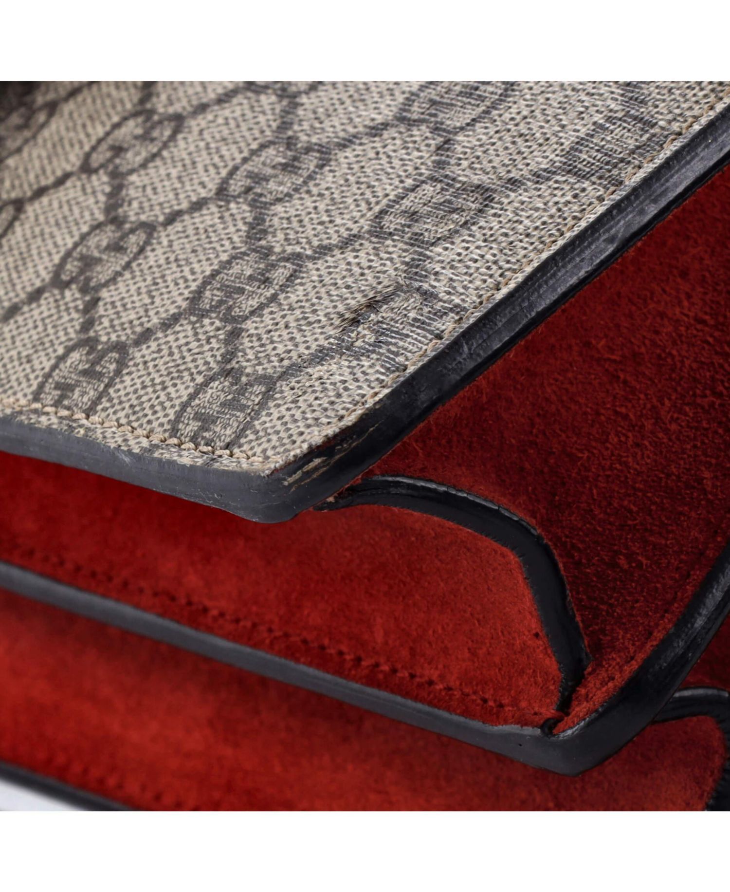 Medium Dionysus Bag GG Coated Canvas