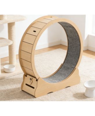 Zeus and Ruta 48 Inch Cat Exercise Wheel for Indoor Cats up to 28 lbs Carpeted Treadmill with Locking Mechanism