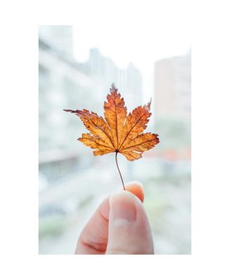 NIKKOR Z 28-75mm f/2.8 Lens