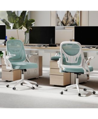 Ergonomic Computer Desk Chair with Lumbar Support and Arms
