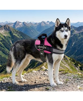 Side Ring No Pull Dog Harness - No Choke, Escape Proof, Reflective, 3 Leash Clips, Comfortable Pet Vest for Medium & Large Dogs