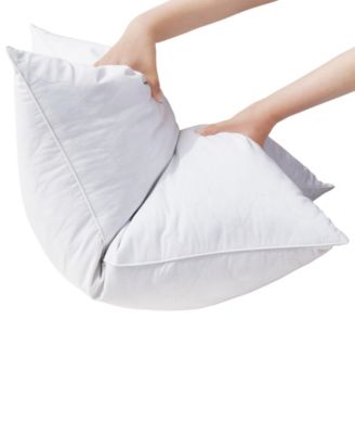 Premium Goose Feather Down 2-Pack Pillows, Standard/Queen
