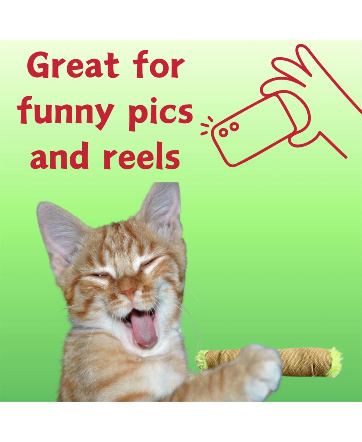 Zeus and Ruta Funny Catnip Cat Toy Plush Novelty Kitten Fetch Toy Cute Stuffed Animal for Cats and Owners