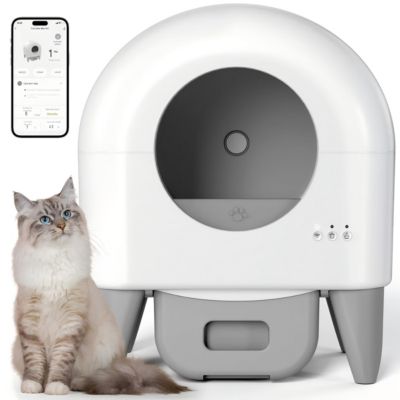 Modern Smart Self Cleaning Cat Litter Box