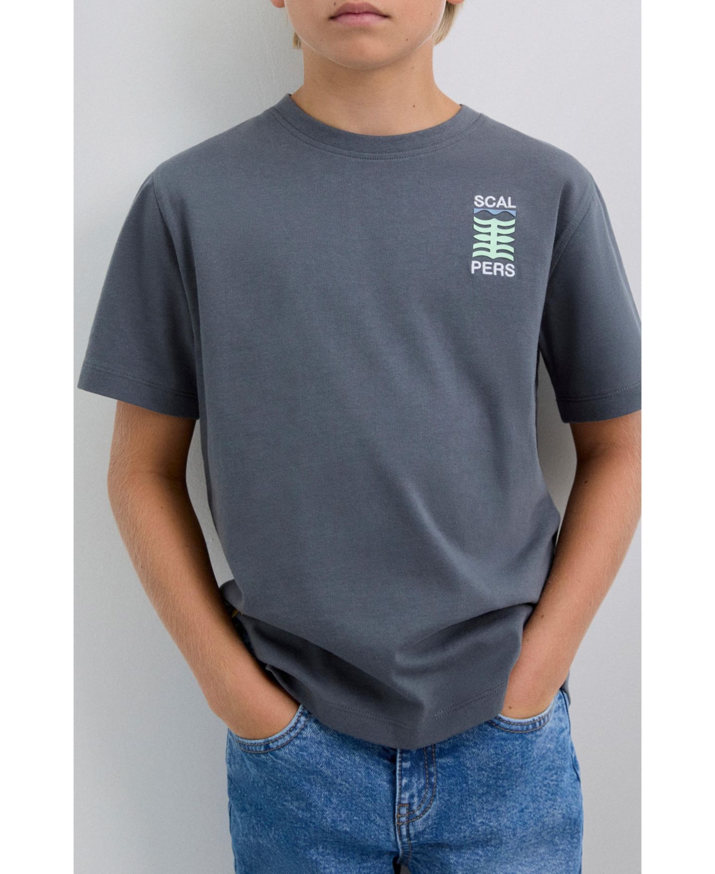 Футболки Scalpers Graphictee для мальчиков, цвет: Тёмный серый — фото 3