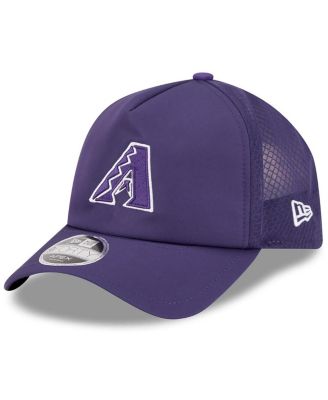 Men's Purple Arizona Diamondbacks 2026 Batting Practice Alternate Apex 9FORTY Adjustable Hat