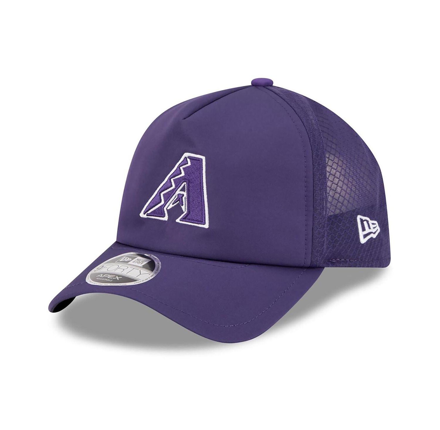 Men's Purple Arizona Diamondbacks 2026 Batting Practice Alternate Apex 9FORTY Adjustable Hat
