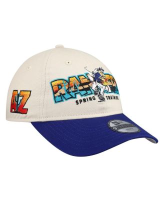 Big Boys and Girls Stone/Royal Texas Rangers 2026 Spring Training Fan Pack Batter 9TWENTY Adjustable Hat