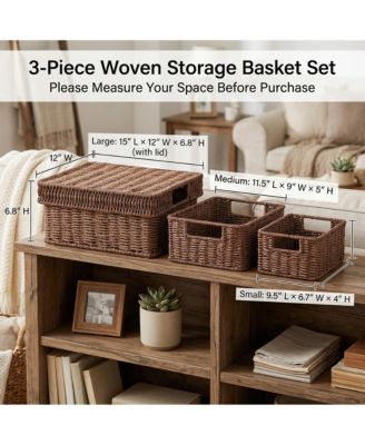 Wicker Storage Baskets With Lids 3-Piece Set Premium Plastic Rattan Handcrafted Organizing Bins for Home Decor