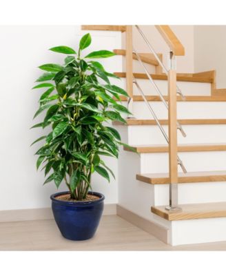 Chalet Outdoor/Indoor High-Fired Glazed UV- and Frost-Resistant Ceramic Planter with Drainage Holes - 15" Diameter