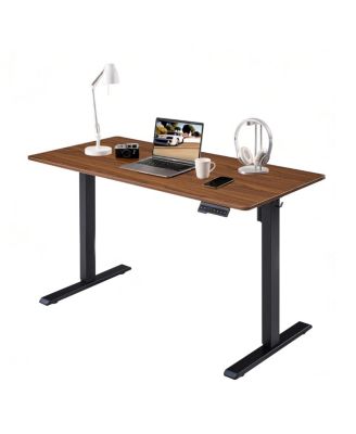 Electric Standing Desk, Adjustable Height, 24x48