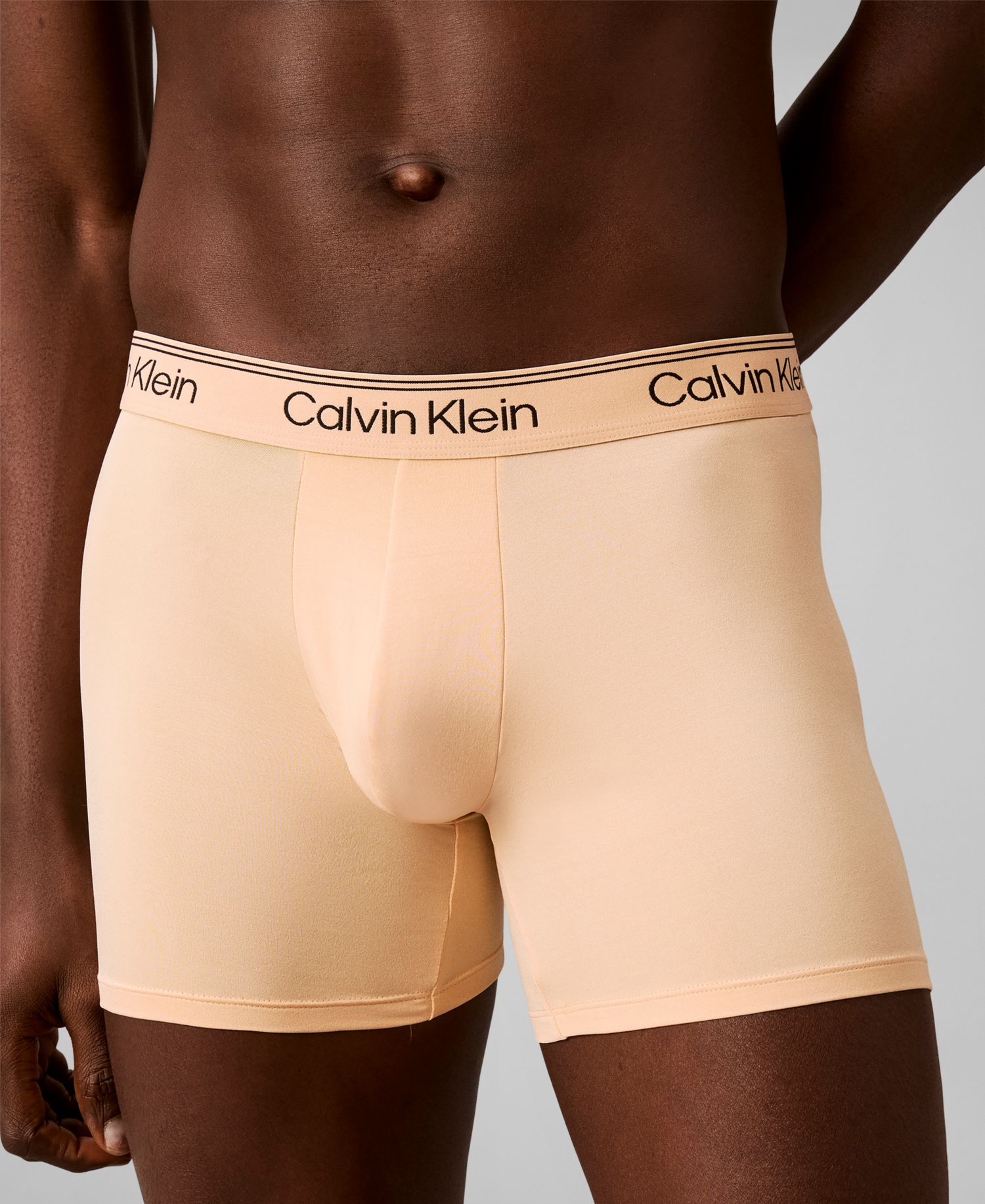 Men's Microfiber Stretch Boxer Briefs Underwear, 4-Pack
