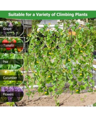 71 x 71 Inch U-Shaped Garden Trellis for Climbing Plants, Tall Arched Frame