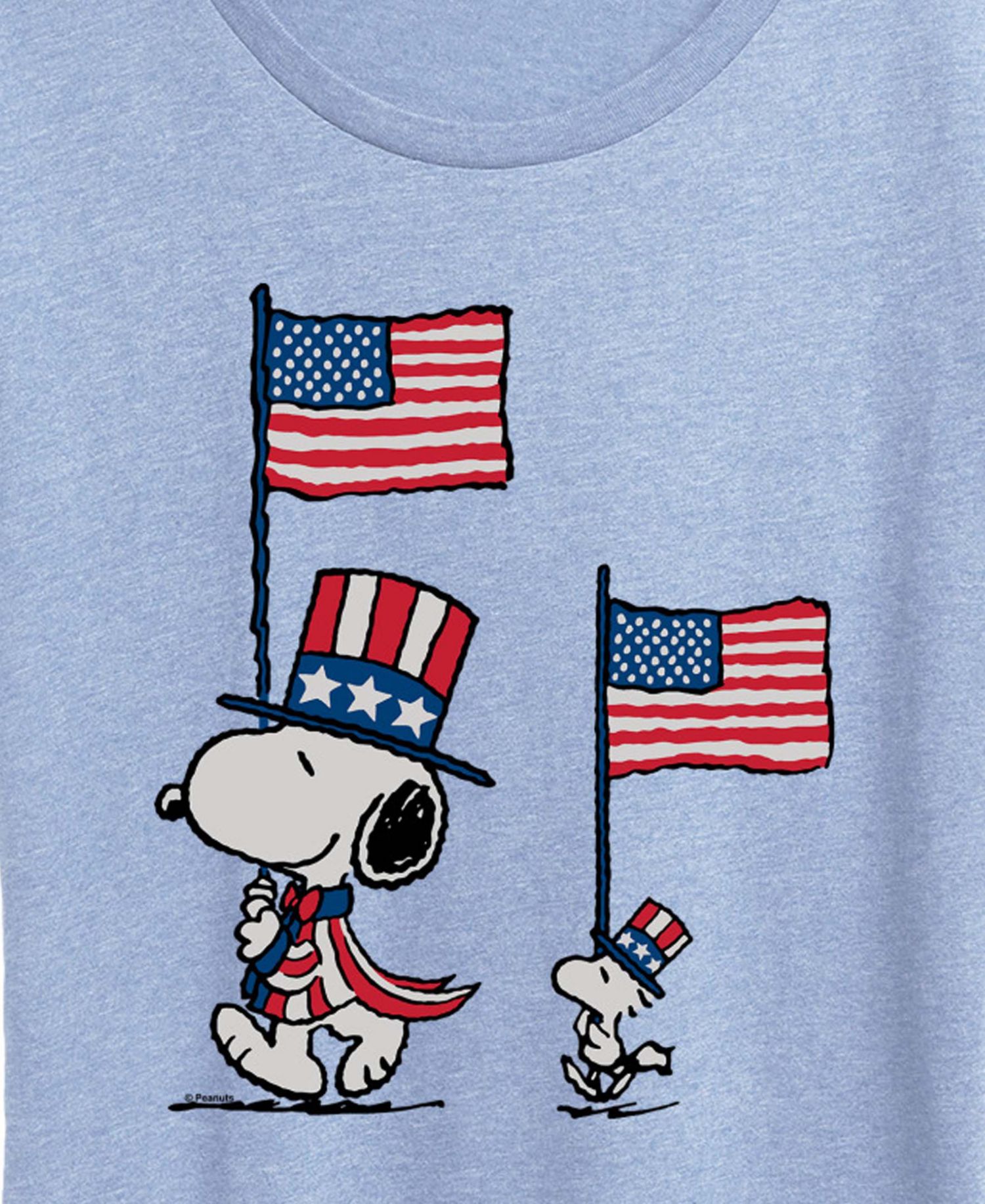 Plus Size Peanuts Snoopy Woodstock Flags Short-Sleeve Graphic T-Shirt