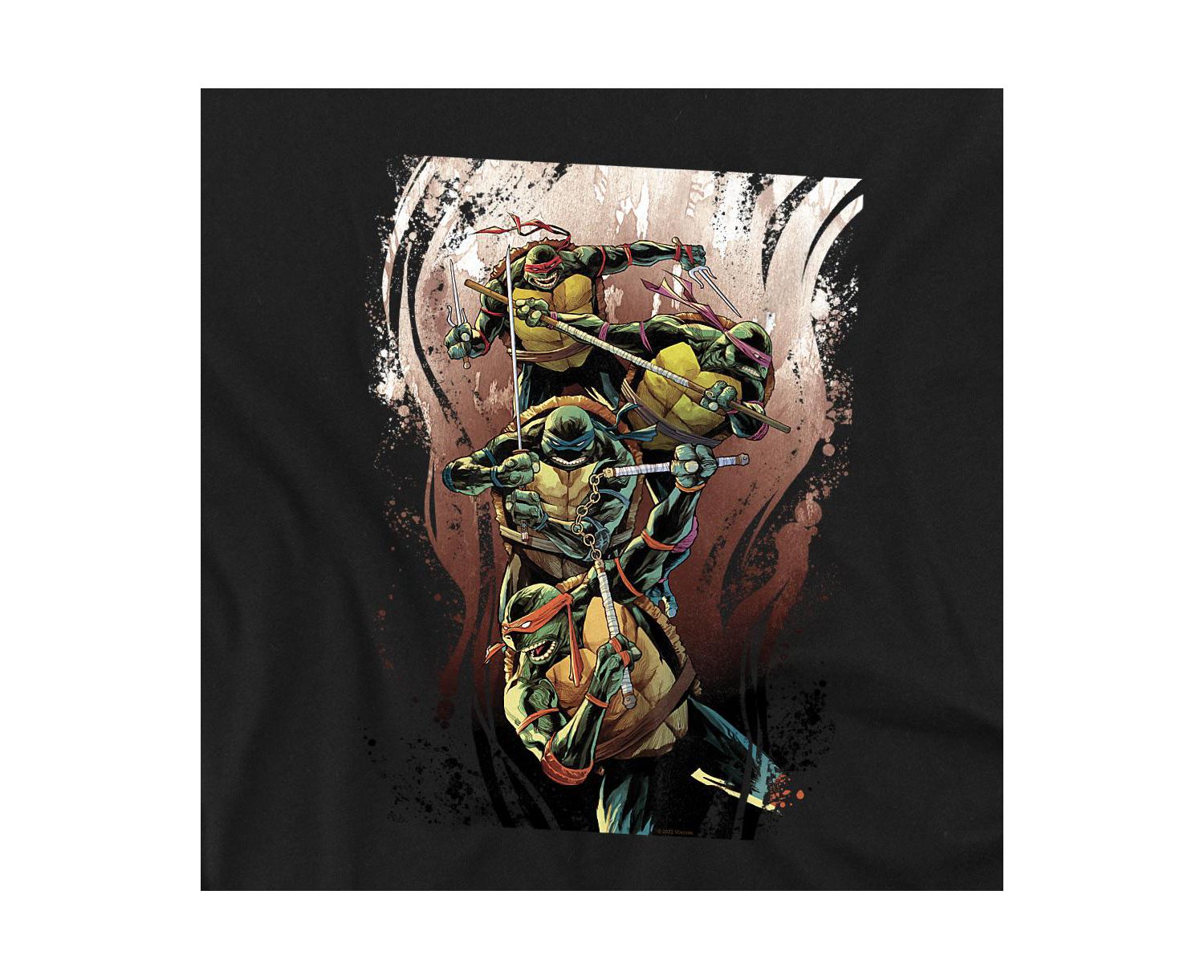 Men's TMNT Earthy Rainbow Warriors T-Shirt