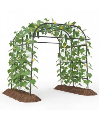 Metal Garden Arch Trellis for Climbing Plants Outdoor Wide Cucumber Trellis