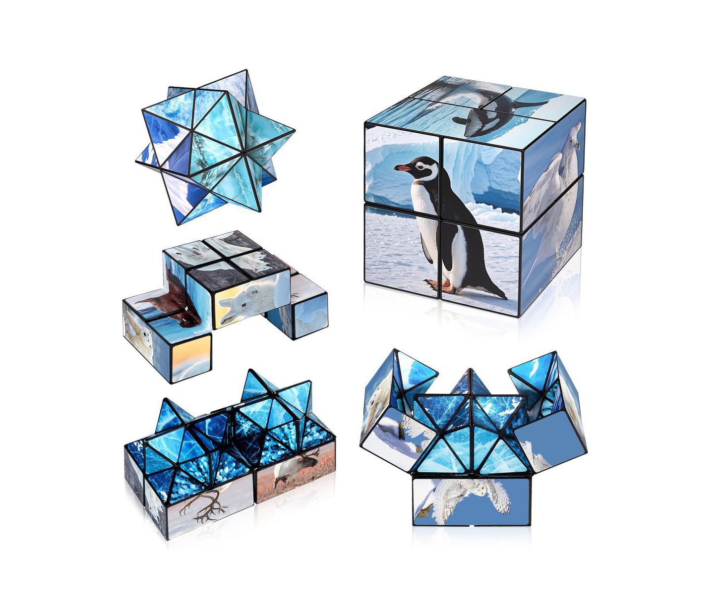 Детская игрушка Bruce & Shark 2-in-1 North and South Poles Fidget Cube - Folds into Star, Cube & Rectangle — фото 1