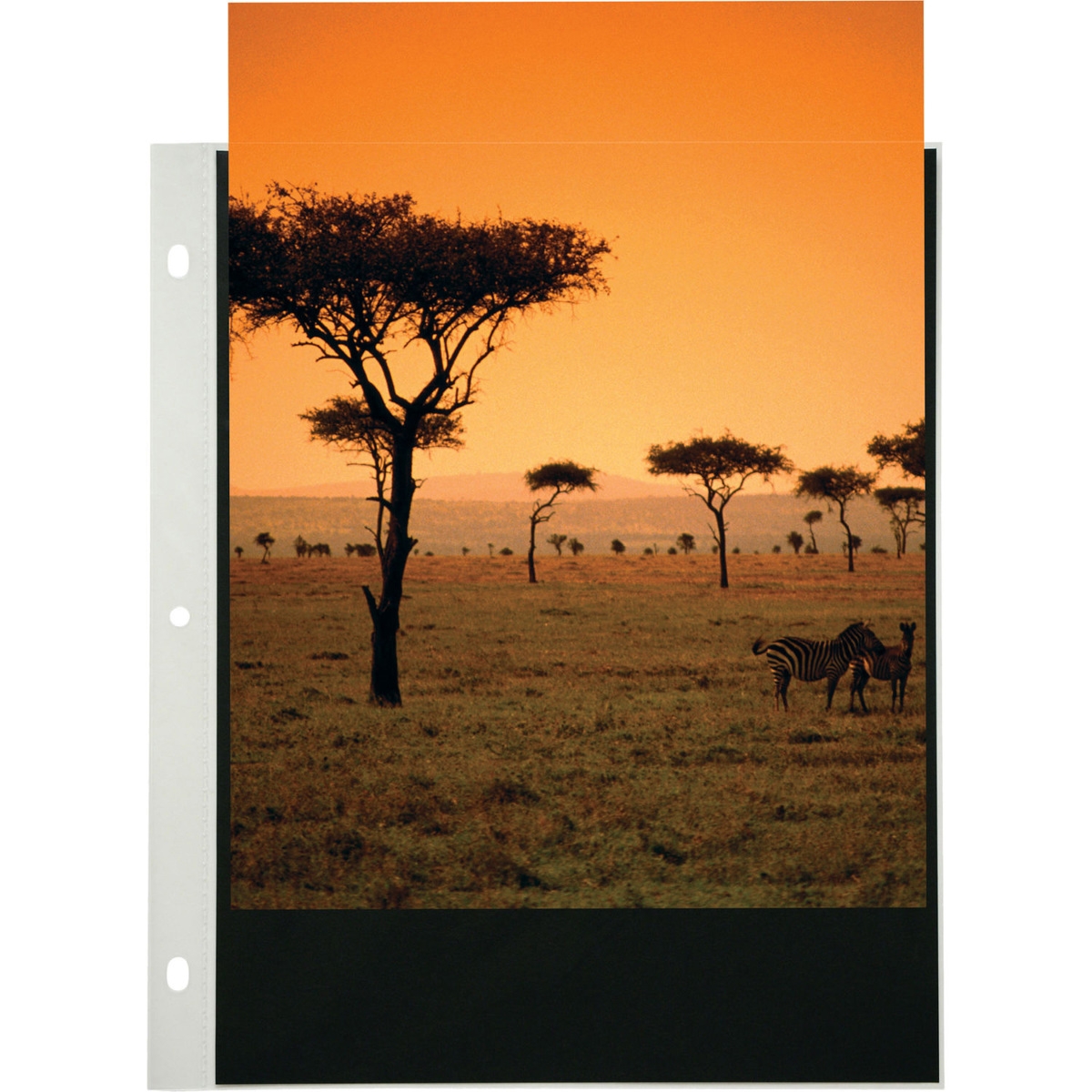 Itoya Art Profolio 13x19" Crystal Clear PolyGlass Pages, 10 Pages Per Pack