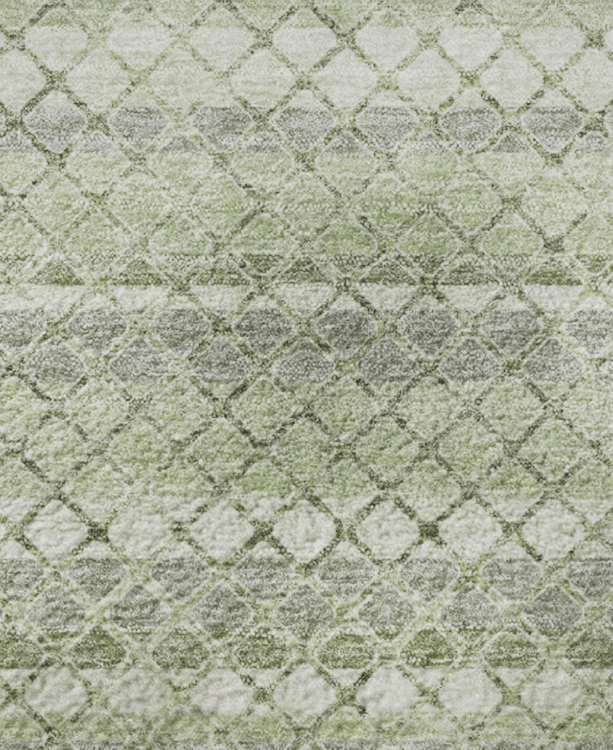 Addison Mayfield AMF2011 3'x5' Area Rug