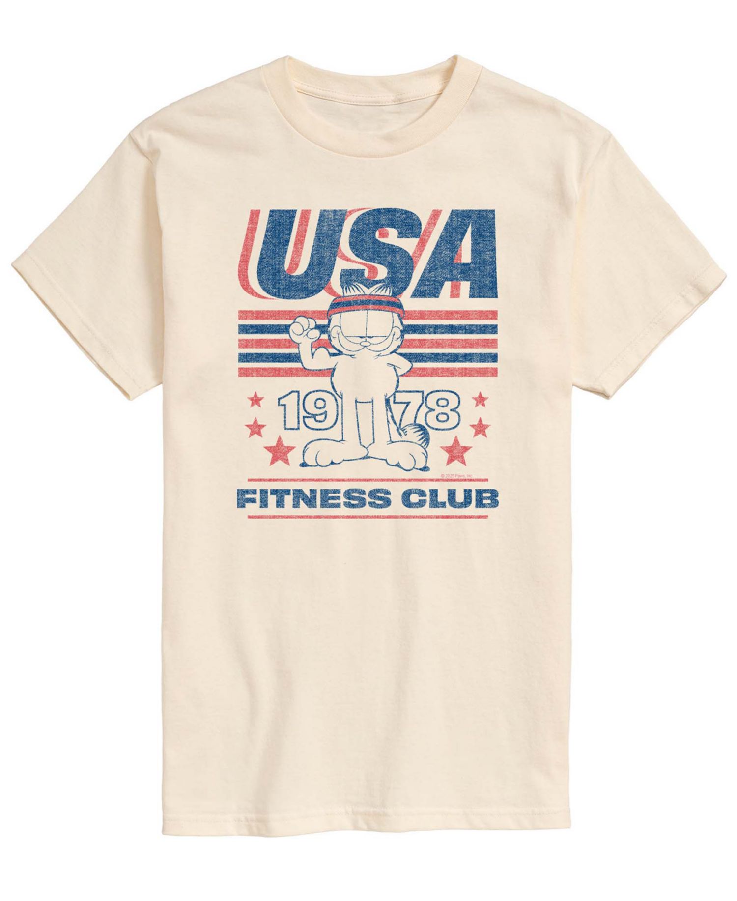 Men's USA Fitness Club 1978 Short-Sleeve Graphic T-Shirt