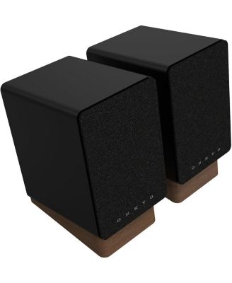 GX-10DB Powered Speaker System