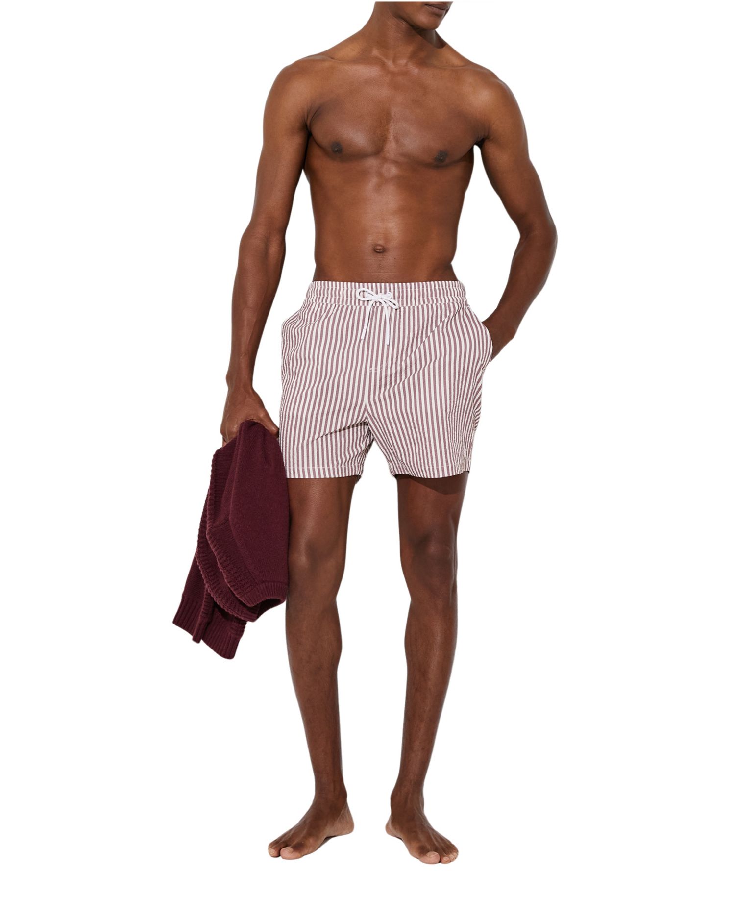Men's Bay Seersucker Stripe Swim Shorts