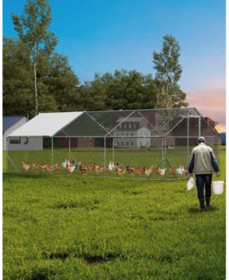 13.12'L x 9.84'W x 6.56'H Walk in Chicken Coop, Poultry Cage for Outdoor Storage