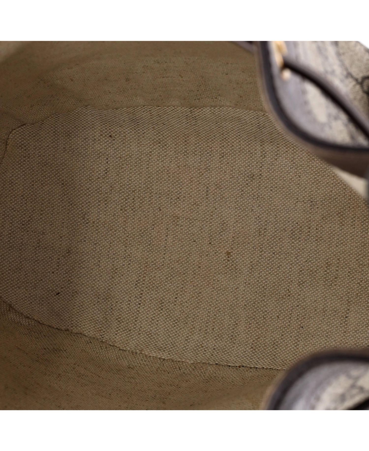 Medium Ophidia Bucket Bag GG Coated Canvas