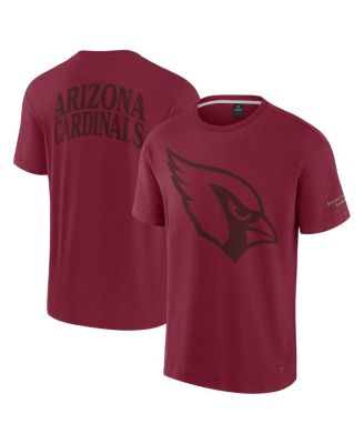 Men's and Women's Cardinal Arizona Cardinals Elements Iconic T-Shirt