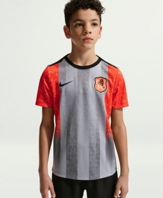Big Boys and Girls Gray Chelsea 2025/26 Academy Pro Pre-Match Top