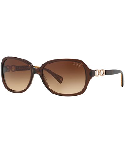 COACH Sunglasses, HC8019 BEATRICE