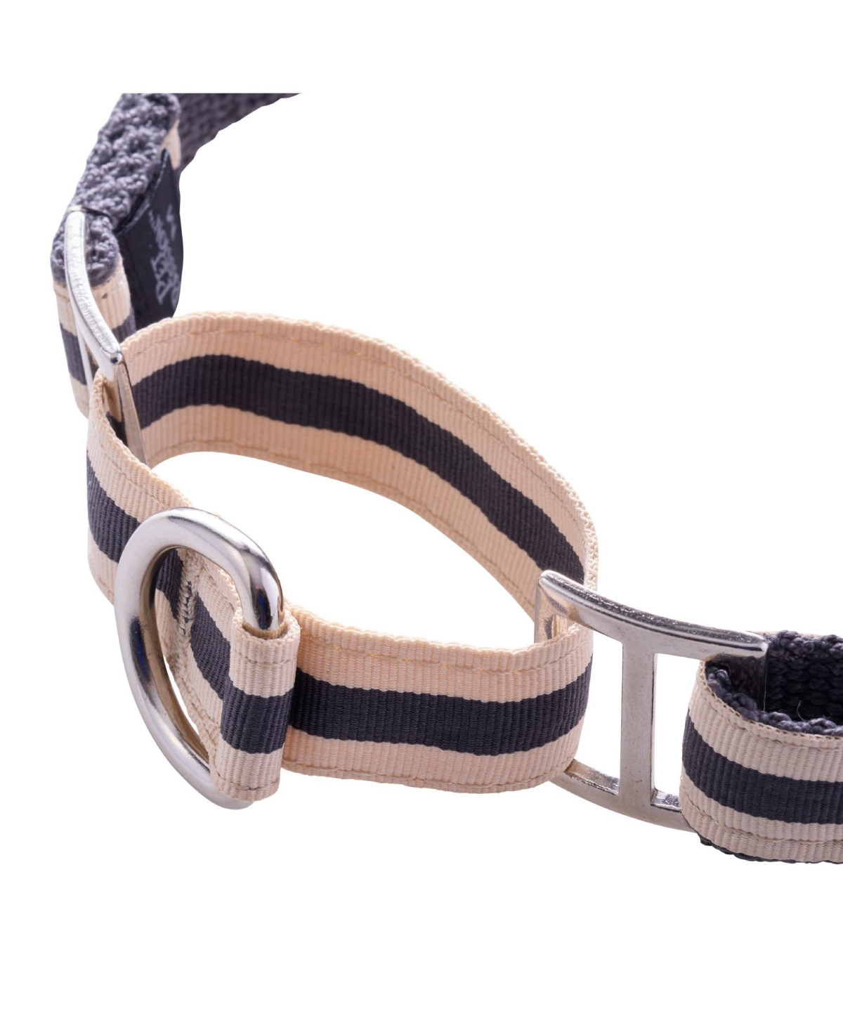 Pet Passion Remy Ii The Ribbon Martingale