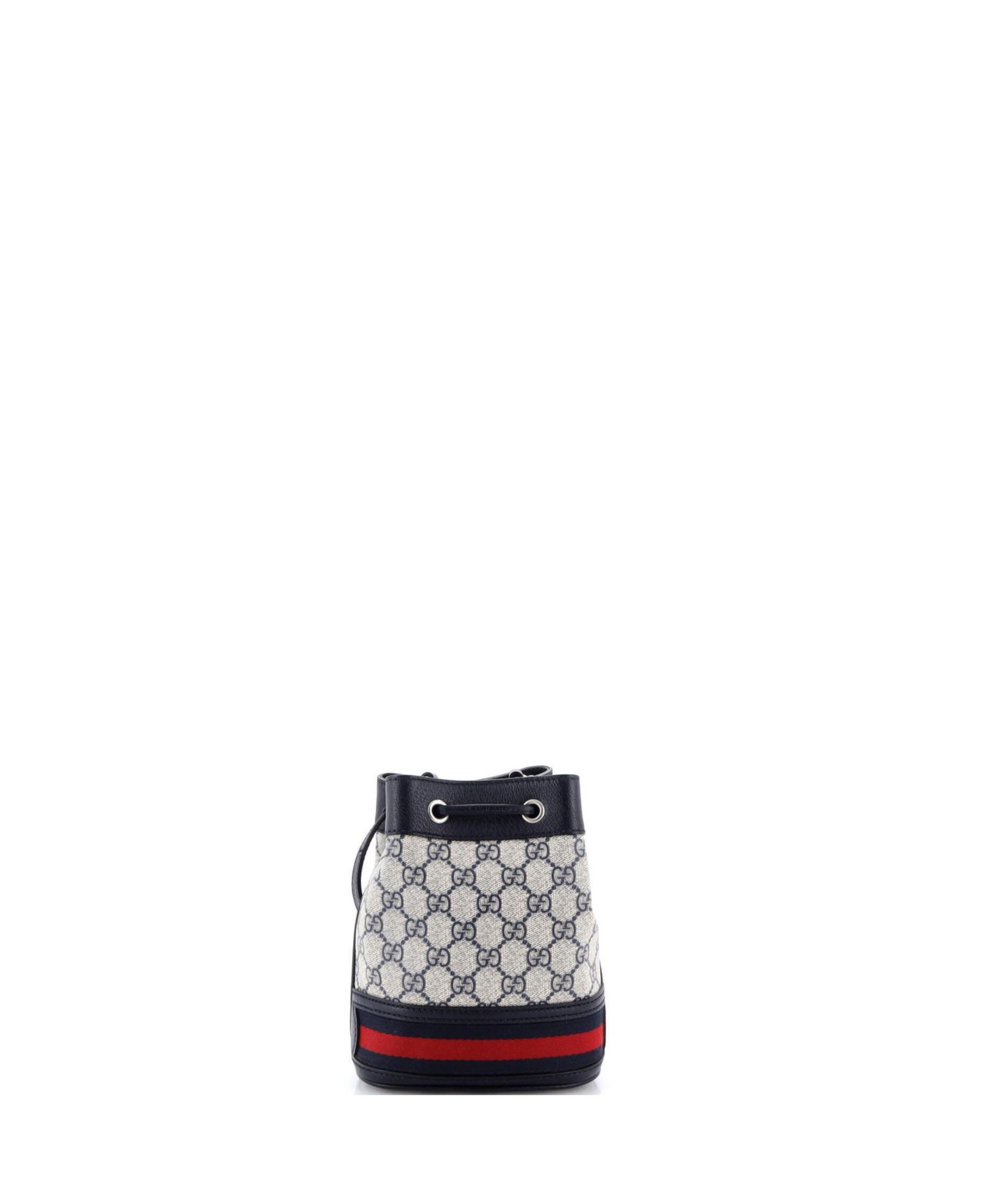 Mini Ophidia Bucket Bag GG Coated Canvas