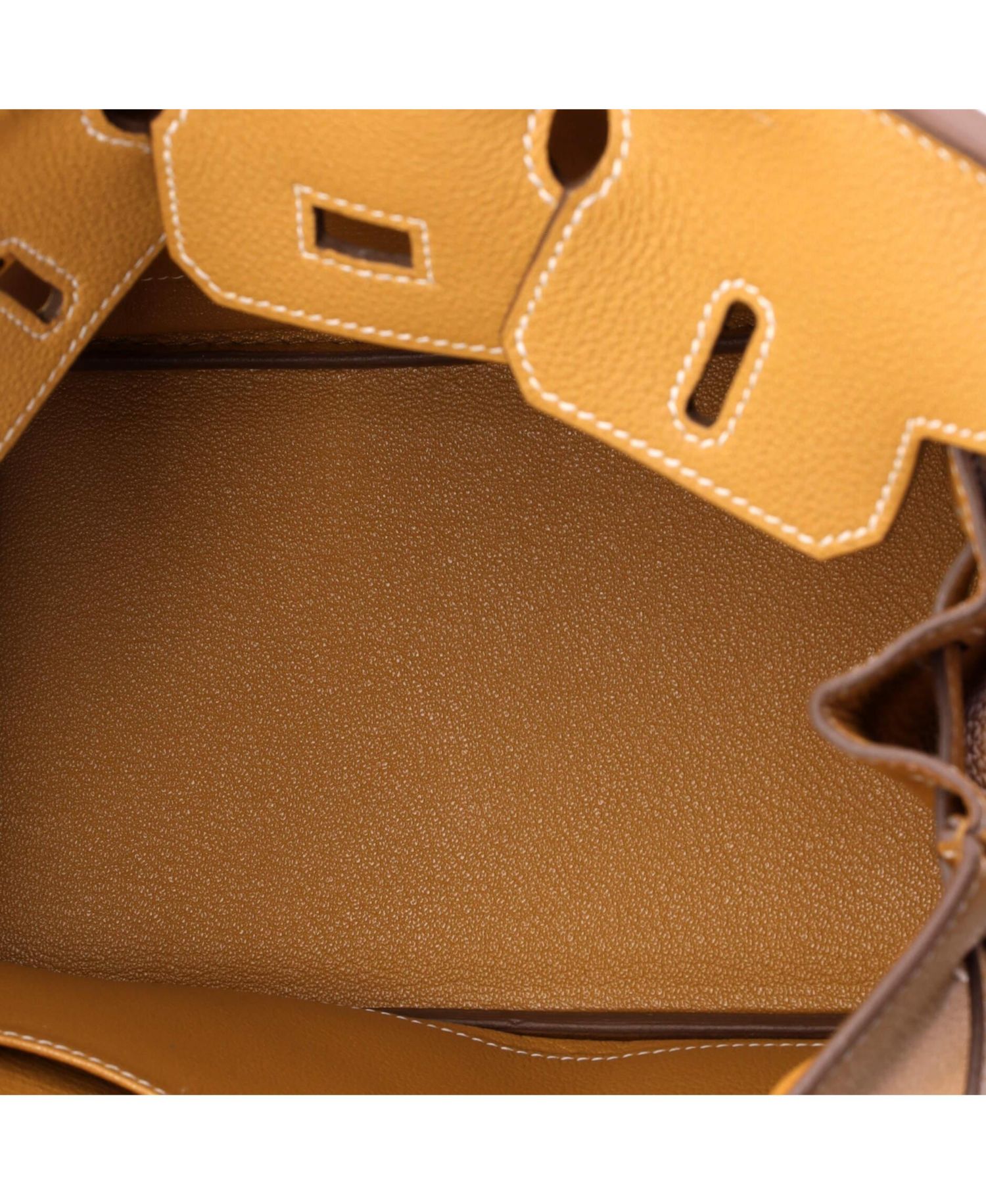 Birkin 25 Handbag Brown Togo with Gold Hardware