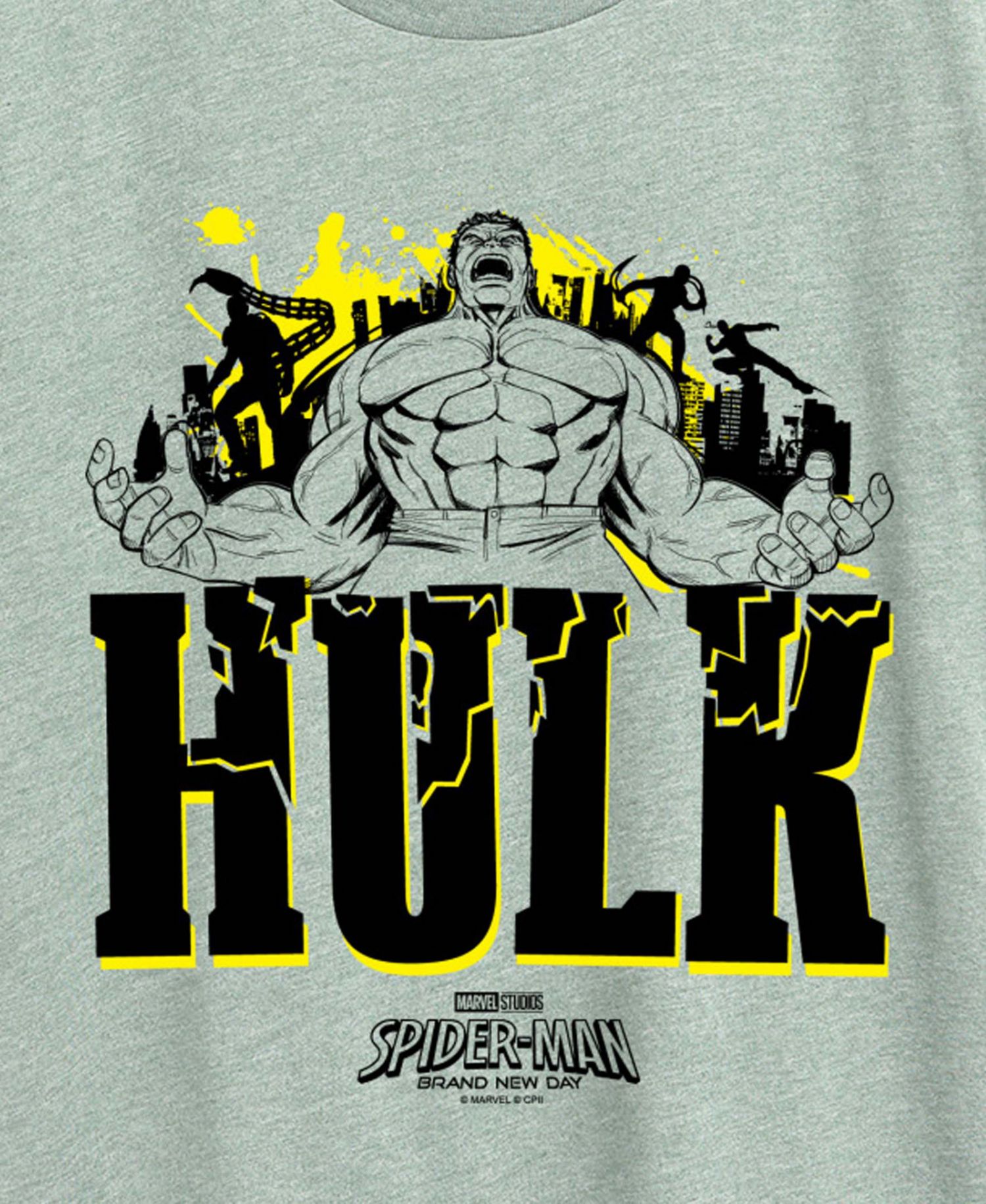 Plus Size Spider-Man Brand New Day Hulk Graphic T-Shirt