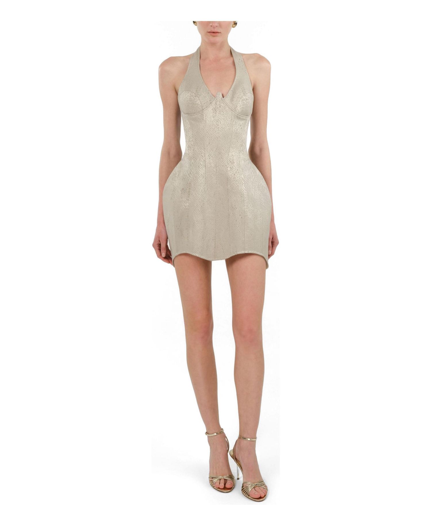Women's Snake-Print Boned Mini Corset Dress