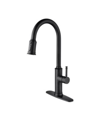 Kitchen Faucet with Pull Out Spraye