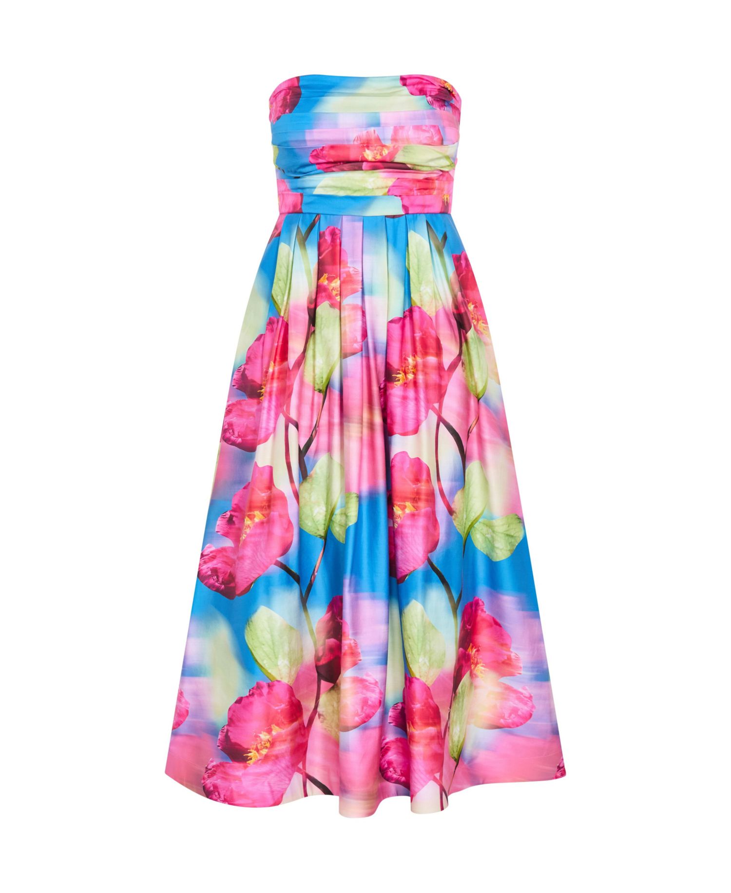 Women's Rosalee Sleeveless Print Maxi Dress