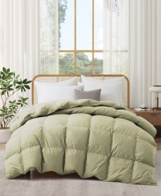 300 Thread Count Cotton All-Season Goose Feather Comforter, California King